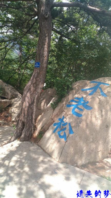 雾灵山4.jpg