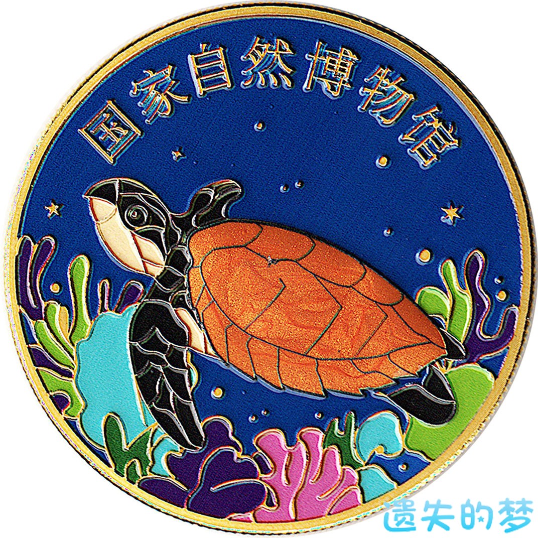 国家自然博物馆-B（玳瑁）.jpg